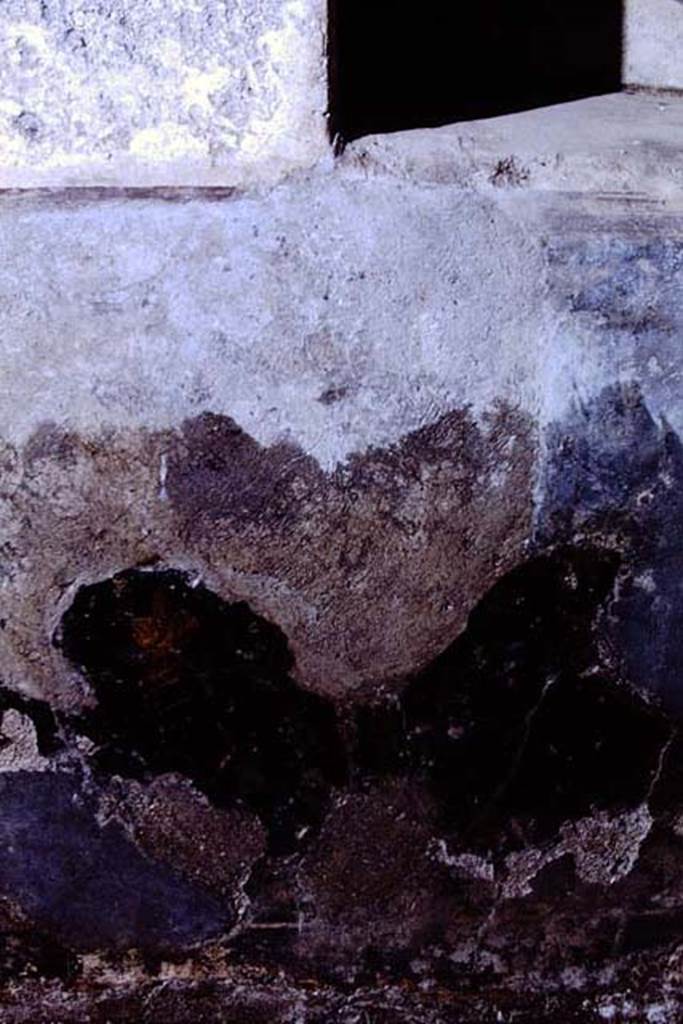 III.2.1 Pompeii. 1968. Room 20, remains of painted plaster from west wall below square niche of summer triclinium.  
Photo by Stanley A. Jashemski.
Source: The Wilhelmina and Stanley A. Jashemski archive in the University of Maryland Library, Special Collections (See collection page) and made available under the Creative Commons Attribution-Non Commercial License v.4. See Licence and use details.
J68f0386