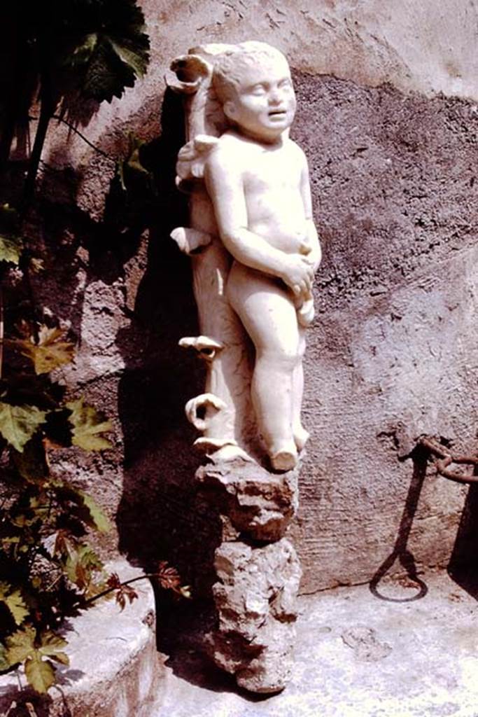 III.2.1 Pompeii. 1972. Statue of a cupid standing against a foliated column.
This had once formed the foot of a table, and was found near the left couch of the triclinium. Photo by Stanley A. Jashemski.
Source: The Wilhelmina and Stanley A. Jashemski archive in the University of Maryland Library, Special Collections (See collection page) and made available under the Creative Commons Attribution-Non Commercial License v.4. See Licence and use details. J72f0331