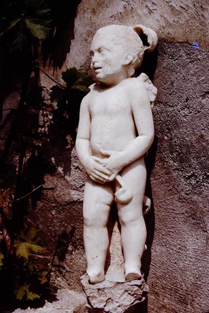 III.2.1 Pompeii. 1971, Statue of a cupid standing against a foliated column. Photo by Stanley A. Jashemski.
Source: The Wilhelmina and Stanley A. Jashemski archive in the University of Maryland Library, Special Collections (See collection page) and made available under the Creative Commons Attribution-Non Commercial License v.4. See Licence and use details. Jmit0014