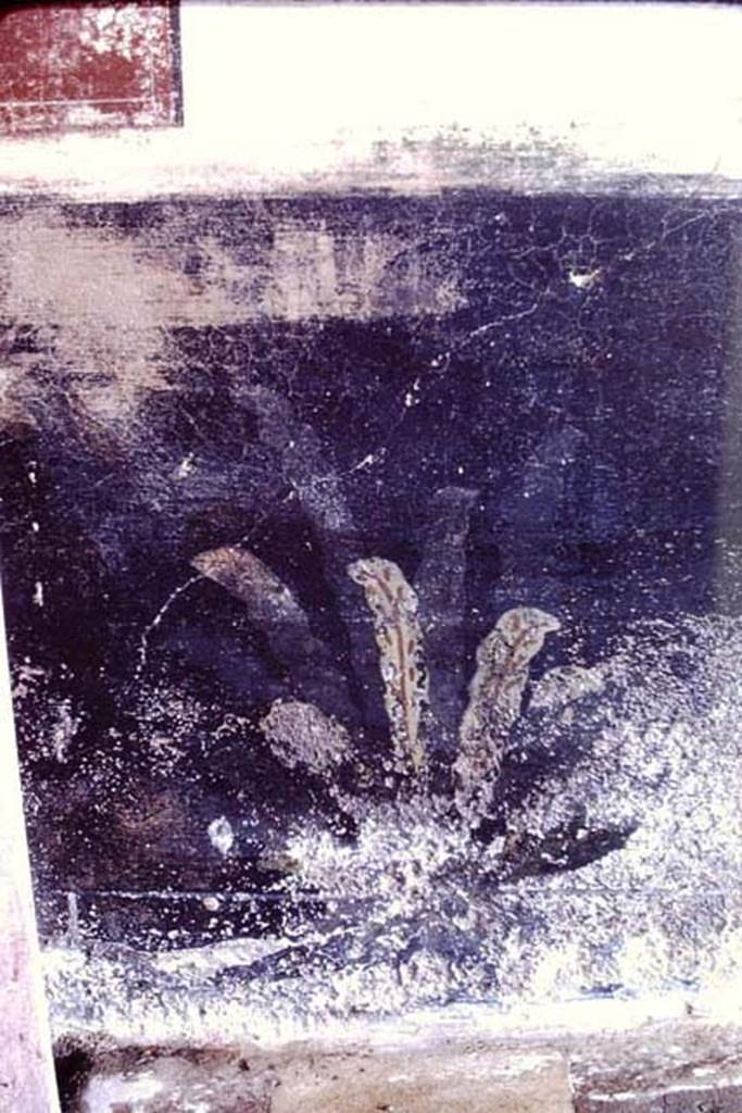 III.2.1 Pompeii. 1968. Room 20, summer triclinium, north wall with remains of painted plants
Photo by Stanley A. Jashemski.
Source: The Wilhelmina and Stanley A. Jashemski archive in the University of Maryland Library, Special Collections (See collection page) and made available under the Creative Commons Attribution-Non Commercial License v.4. See Licence and use details.
J68f0382