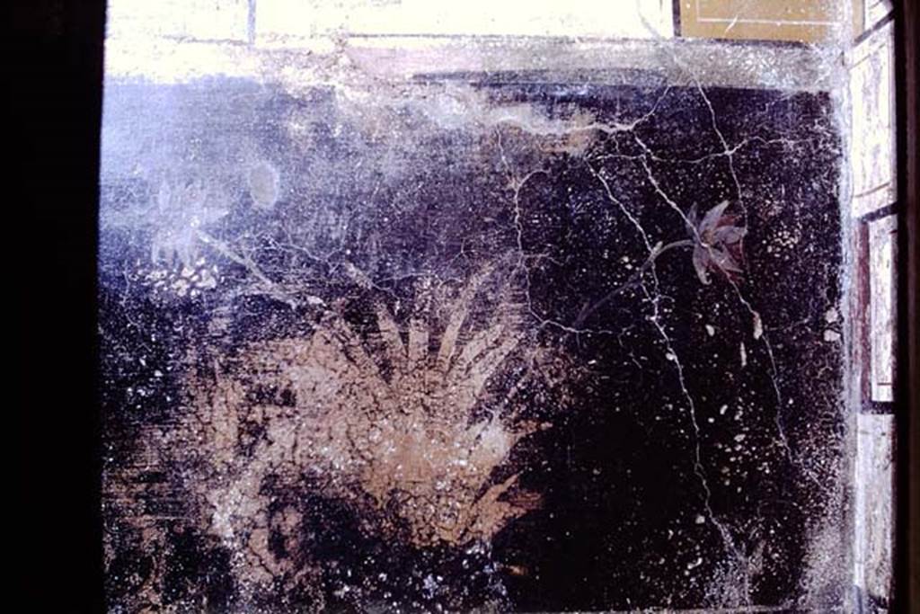 III.2.1 Pompeii, 1968. Room 20, detail of painted plant from north wall in north-east corner.  
Photo by Stanley A. Jashemski.
Source: The Wilhelmina and Stanley A. Jashemski archive in the University of Maryland Library, Special Collections (See collection page) and made available under the Creative Commons Attribution-Non Commercial License v.4. See Licence and use details.
J68f0376