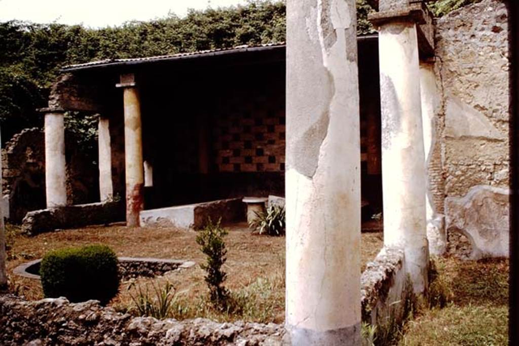 III.2.1 Pompeii. 1964. Looking north across garden and east portico. Photo by Stanley A. Jashemski.
Source: The Wilhelmina and Stanley A. Jashemski archive in the University of Maryland Library, Special Collections (See collection page) and made available under the Creative Commons Attribution-Non Commercial License v.4. See Licence and use details.
J64f0978