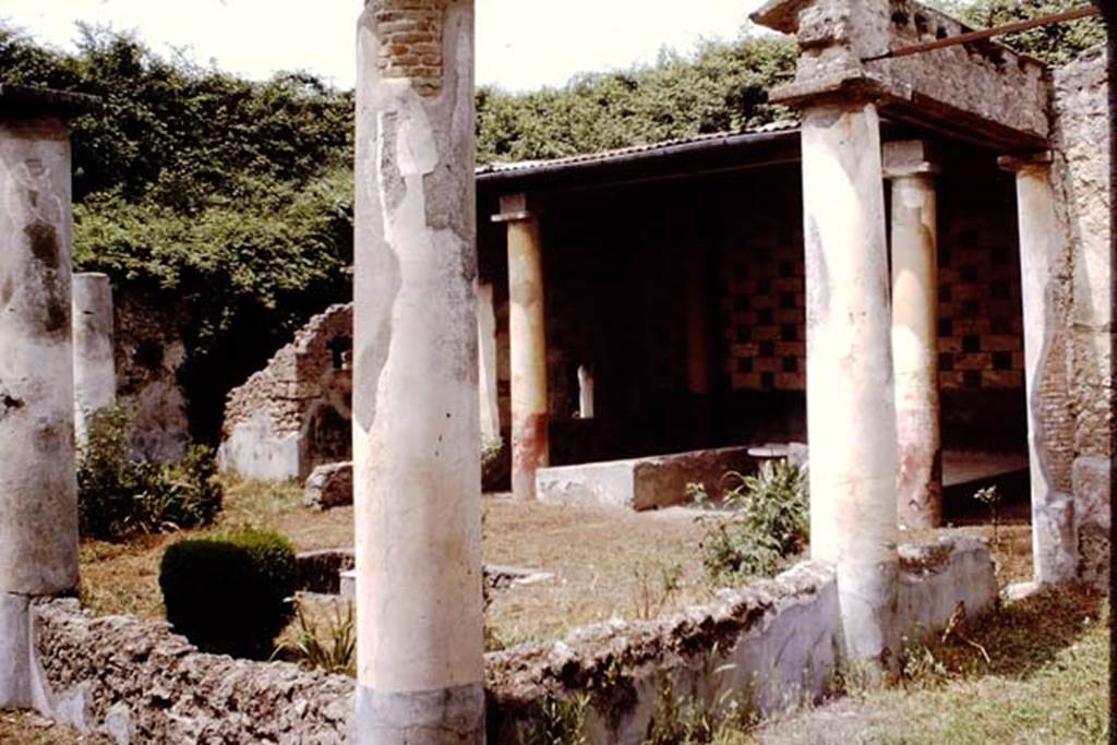 III.2.1 Pompeii. 1964. Looking north-west across garden area from east portico.  Photo by Stanley A. Jashemski.
Source: The Wilhelmina and Stanley A. Jashemski archive in the University of Maryland Library, Special Collections (See collection page) and made available under the Creative Commons Attribution-Non Commercial License v.4. See Licence and use details.
J64f0963