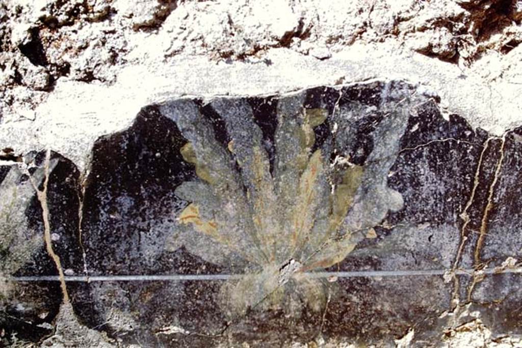 III.2.1 Pompeii. 1968. Room 20, painted clump of a plant from east portico. Photo by Stanley A. Jashemski.
Source: The Wilhelmina and Stanley A. Jashemski archive in the University of Maryland Library, Special Collections (See collection page) and made available under the Creative Commons Attribution-Non Commercial License v.4. See Licence and use details.
J68f1742