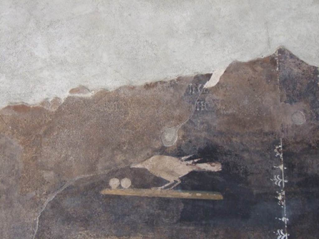 III.4.3  Pompeii. March 2009. Room 3. Second painted panel on south wall. The remains of one of the Latin moral verses, from which the house is named, is just visible and can be seen above the painted bird.
(Utere blandit)iis, odiosaque iurgia differ
Si potes, aut gressus ad tua tecta refer
See Della Corte, M., 1965. Case ed Abitanti di Pompei. Napoli: Fausto Fiorentino. (p.361. CIL IV 7698a-c)
(….) postpone your tiresome quarrels
If you can, or leave and take them home with you.
See Cooley, A. and M.G.L., 2004. Pompeii : A Sourcebook. London : Routledge. (p.73 CIL IV 7698a-c).