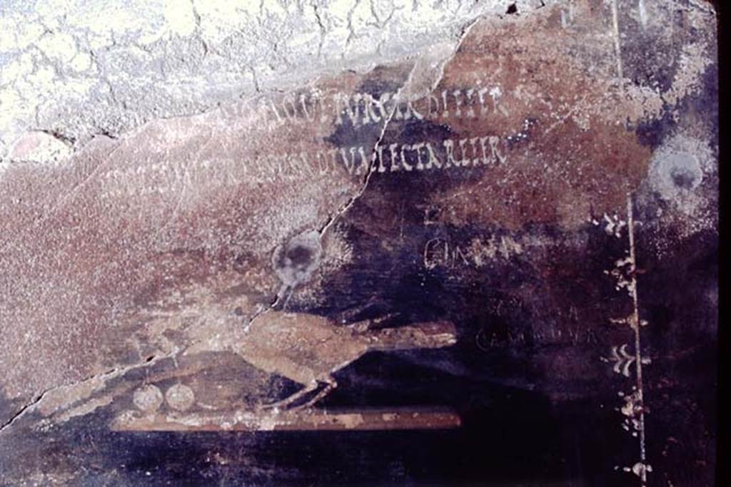 III.4.3 Pompeii. 1968. Room 3. Second painted panel on south wall. The remains of one of the Latin moral verses, from which the house is named, is just visible and can be seen above the painted bird.
(Utere blandit)iis, odiosaque iurgia differ
Si potes, aut gressus ad tua tecta refer
See Della Corte, M., 1965. Case ed Abitanti di Pompei. Napoli: Fausto Fiorentino. (p. 361. CIL IV 7698a-c)
(….) postpone your tiresome quarrels
If you can, or leave and take them home with you.
See Cooley, A. and M.G.L., 2004. Pompeii: A Sourcebook. London: Routledge, (p. 73 CIL IV 7698a-c). 
Photo by Stanley A. Jashemski.
Source: The Wilhelmina and Stanley A. Jashemski archive in the University of Maryland Library, Special Collections (See collection page) and made available under the Creative Commons Attribution-Non Commercial License v.4. See Licence and use details.
J68f0359