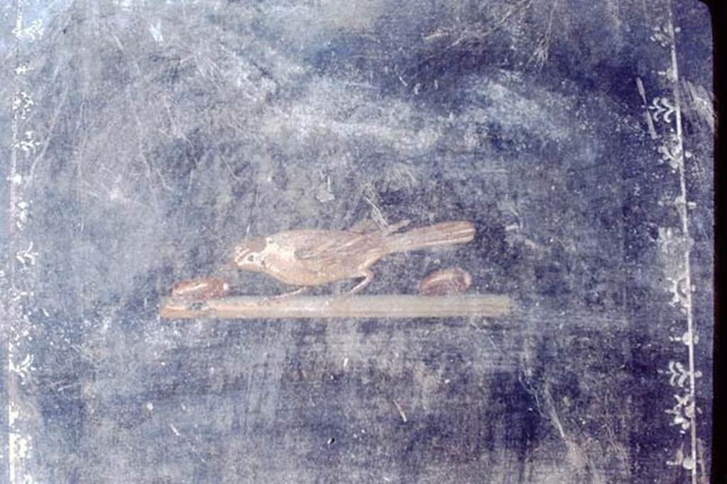 III.4.3 Pompeii. 1968. Room 3, triclinium. Fourth painted panel on south wall. Photo by Stanley A. Jashemski.
Source: The Wilhelmina and Stanley A. Jashemski archive in the University of Maryland Library, Special Collections (See collection page) and made available under the Creative Commons Attribution-Non Commercial License v.4. See Licence and use details.
J68f0361