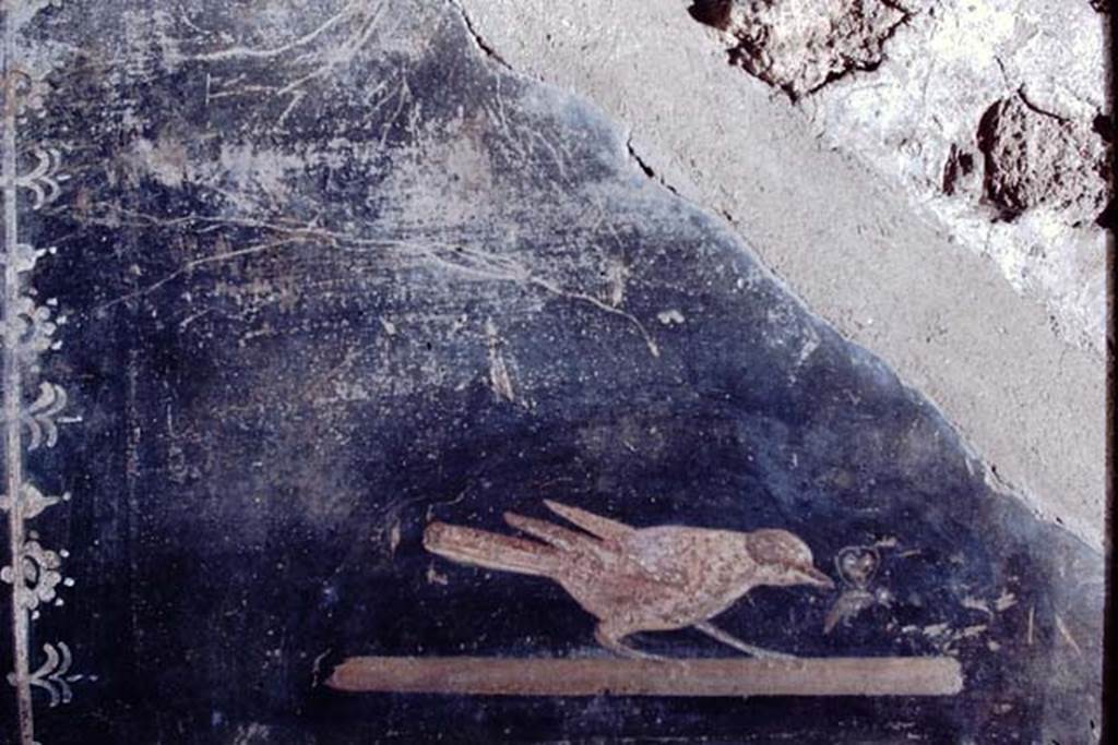 III.4.3 Pompeii. 1968. Room 3, triclinium. Remains of painted panel on west wall in south-west corner. Photo by Stanley A. Jashemski.
Source: The Wilhelmina and Stanley A. Jashemski archive in the University of Maryland Library, Special Collections (See collection page) and made available under the Creative Commons Attribution-Non Commercial License v.4. See Licence and use details.
J68f0364