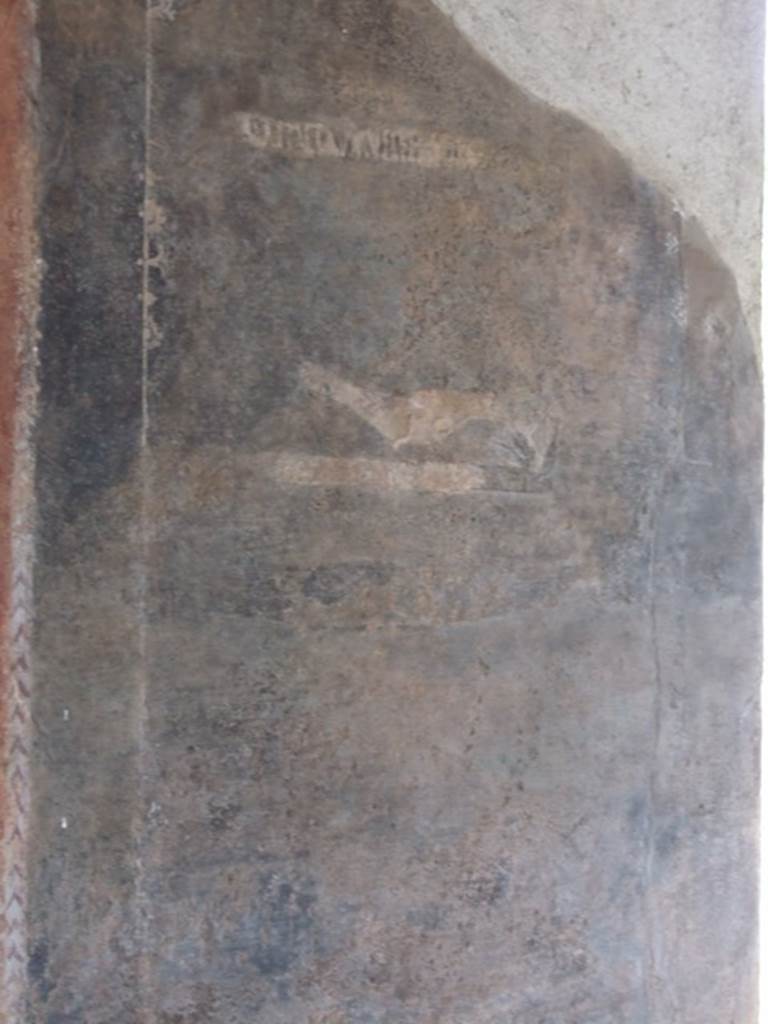 III.4.3  Pompeii. March 2009. Room 3. Remains of painted panels on north wall, on east side of window, and near doorway. The remains of one of the Latin moral verses, from which the house is named, is just visible and can be seen above the painted bird.
Abluat unda pedes, puer et detergeat udos.
Mappa torum velet, lintea nostra cave.
See Della Corte, M., 1965. Case ed Abitanti di Pompei. Napoli: Fausto Fiorentino. (p.361. CIL IV 7698a-c)
Let water wash your feet clean and a slave wipe them dry;
Let a cloth cover the couch, take care of our linens.
See Cooley, A. and M.G.L., 2004. Pompeii : A Sourcebook. London : Routledge. (p 73: CIL IV 7698a-c)