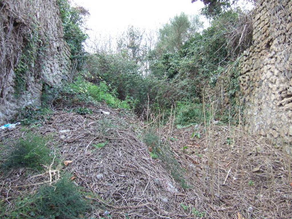 III.4.3 Side wall. December 2005.     Unnamed vicolo, looking north.                            III.5.