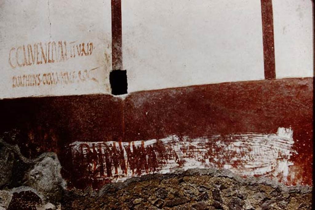 Vicolo di Ifigenia, east side, Pompeii. 1961. Exterior wall between entrances III.4.e, on left, and III.4.d, on right. 
Photo by Stanley A. Jashemski.
Source: The Wilhelmina and Stanley A. Jashemski archive in the University of Maryland Library, Special Collections (See collection page) and made available under the Creative Commons Attribution-Non Commercial License v.4. See Licence and use details.
J61f0556
The inscription on the left reads – C. CALVENTIVM II . V. R I . D
                                                                 PAMPHILVS . CVM NATALE ROG
We cannot read the large inscription, which looks as if it has been over-painted many times, but according to Eschebach, Giordano & Casale, p.281, had also read 
No.25: “Pamphilus rog Acestes” – No.26: “Pamphilus cum Natale rog” (above) – and on p.298, No. 106: “Ampliata, Florilla” – No. 108 & 110: “Pamphilus” – and on page 299, No.111: “Pamphilus”.
See Eschebach, L., 1993. Gebäudeverzeichnis und Stadtplan der antiken Stadt Pompeji. Köln: Böhlau. (p.106-7)