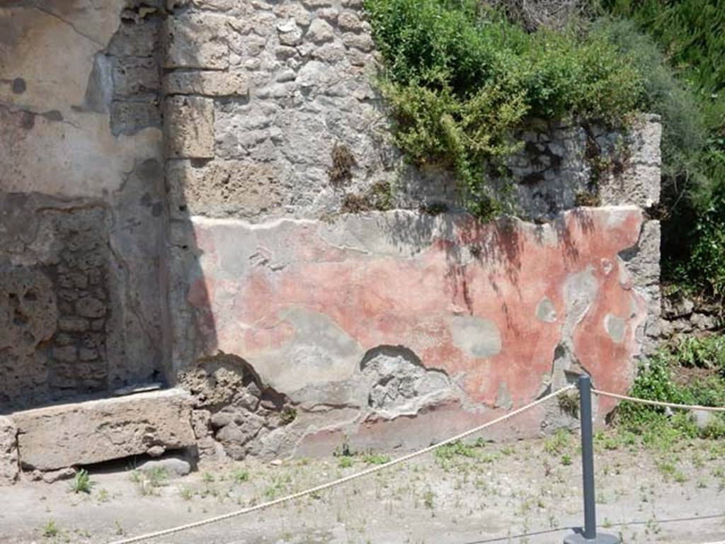 III.5.3 Pompeii. May 2016. Detail of remains of painted plaster on west side of entrance doorway. Photo courtesy of Buzz Ferebee..