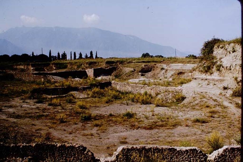 III.7 Pompeii. 1964. Looking south-west across site.  Photo by Stanley A. Jashemski.
Source: The Wilhelmina and Stanley A. Jashemski archive in the University of Maryland Library, Special Collections (See collection page) and made available under the Creative Commons Attribution-Non Commercial License v.4. See Licence and use details.
J64f2005