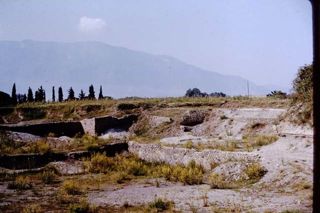 III.7 Pompeii. 1964. Looking south-west across site.  Photo by Stanley A. Jashemski.
Source: The Wilhelmina and Stanley A. Jashemski archive in the University of Maryland Library, Special Collections (See collection page) and made available under the Creative Commons Attribution-Non Commercial License v.4. See Licence and use details.
J64f2004