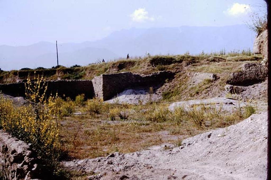 III.7 Pompeii. 1964.  Looking south-west across III.7, the remains of the partly excavated triclinium are on the right.  Photo by Stanley A. Jashemski.
Source: The Wilhelmina and Stanley A. Jashemski archive in the University of Maryland Library, Special Collections (See collection page) and made available under the Creative Commons Attribution-Non Commercial License v.4. See Licence and use details.
J64f2003