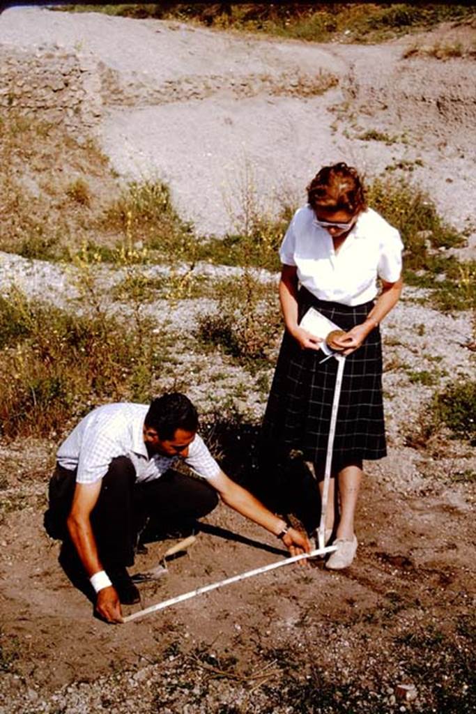 III.7 Pompeii. 1964. Wilhelmina and Sig. Sicignano measuring for their work. Photo by Stanley A. Jashemski.
Source: The Wilhelmina and Stanley A. Jashemski archive in the University of Maryland Library, Special Collections (See collection page) and made available under the Creative Commons Attribution-Non Commercial License v.4. See Licence and use details.
J64f1991