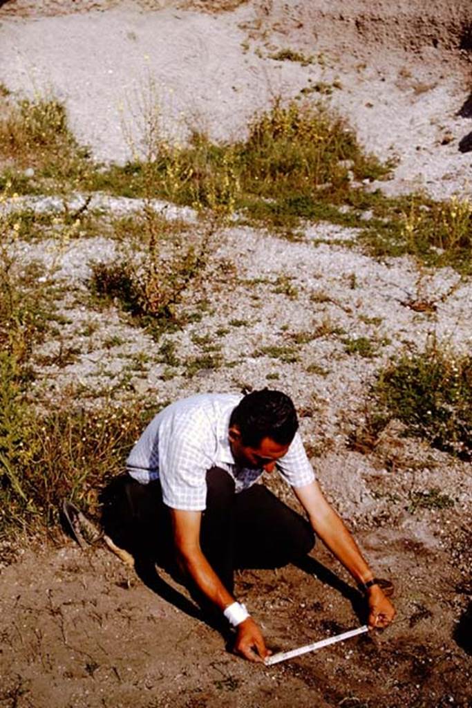 III.7 Pompeii. 1964. Sig. Sicignano measuring. Photo by Stanley A. Jashemski.
Source: The Wilhelmina and Stanley A. Jashemski archive in the University of Maryland Library, Special Collections (See collection page) and made available under the Creative Commons Attribution-Non Commercial License v.4. See Licence and use details.
J64f1993