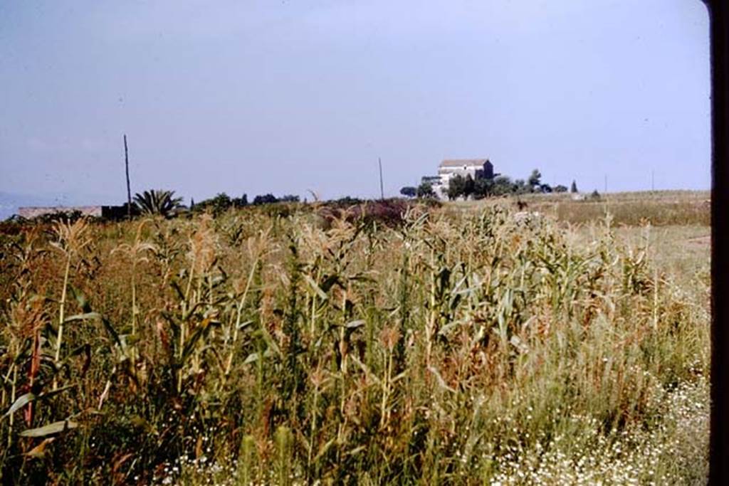 III.7 Pompeii. 1964. Looking west towards Casina dell’Aquila.   Photo by Stanley A. Jashemski.
Source: The Wilhelmina and Stanley A. Jashemski archive in the University of Maryland Library, Special Collections (See collection page) and made available under the Creative Commons Attribution-Non Commercial License v.4. See Licence and use details.
J64f2002