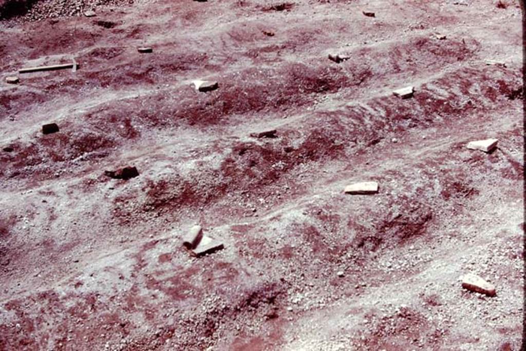 III.7 Pompeii. 1976. Furrows with root cavities protected by stones. Photo by Stanley A. Jashemski.   
Source: The Wilhelmina and Stanley A. Jashemski archive in the University of Maryland Library, Special Collections (See collection page) and made available under the Creative Commons Attribution-Non Commercial License v.4. See Licence and use details. J76f0333