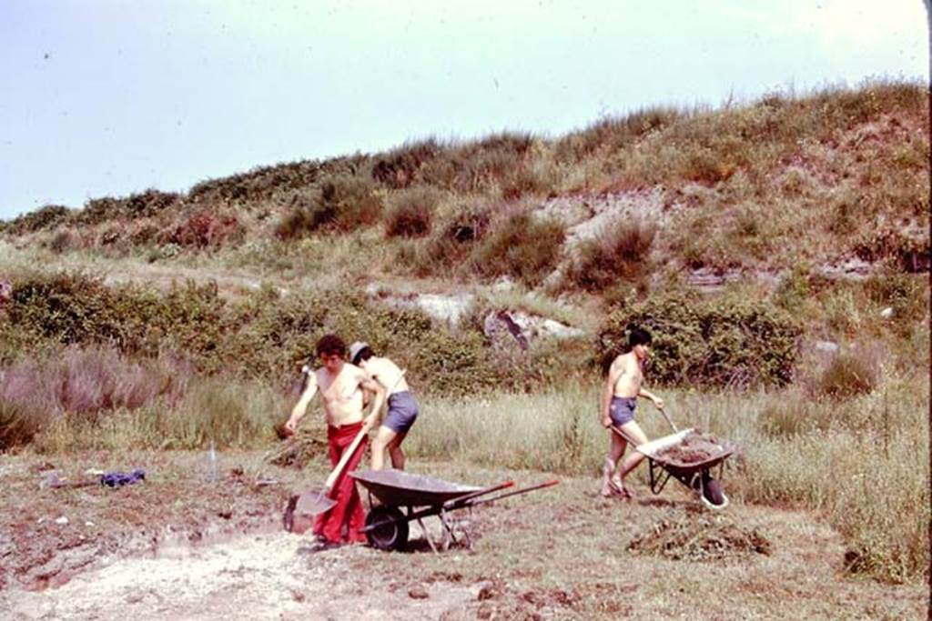 III.7 Pompeii. 1976. Clearing the area of the triclinium. Photo by Stanley A. Jashemski.   
Source: The Wilhelmina and Stanley A. Jashemski archive in the University of Maryland Library, Special Collections (See collection page) and made available under the Creative Commons Attribution-Non Commercial License v.4. See Licence and use details. J76f0318