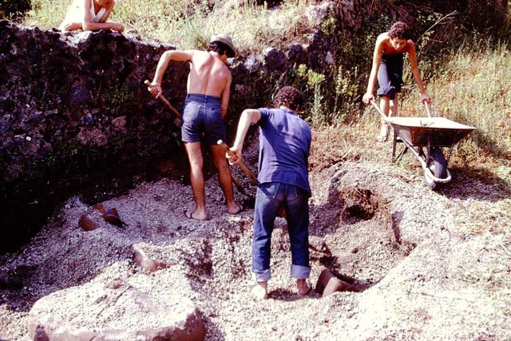 III.7 Pompeii. 1976. Working near the south wall. Photo by Stanley A. Jashemski.   
Source: The Wilhelmina and Stanley A. Jashemski archive in the University of Maryland Library, Special Collections (See collection page) and made available under the Creative Commons Attribution-Non Commercial License v.4. See Licence and use details. J76f0328