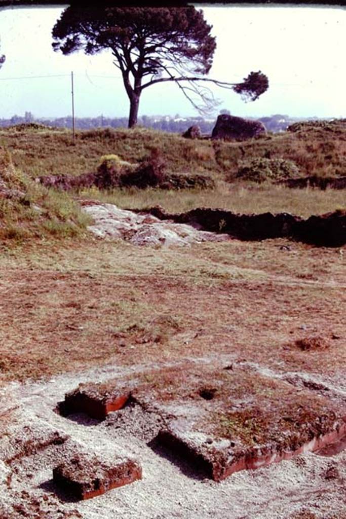 III.7 Pompeii. 1976. Looking north-east across triclinium. Photo by Stanley A. Jashemski.   
Source: The Wilhelmina and Stanley A. Jashemski archive in the University of Maryland Library, Special Collections (See collection page) and made available under the Creative Commons Attribution-Non Commercial License v.4. See Licence and use details. J76f0337