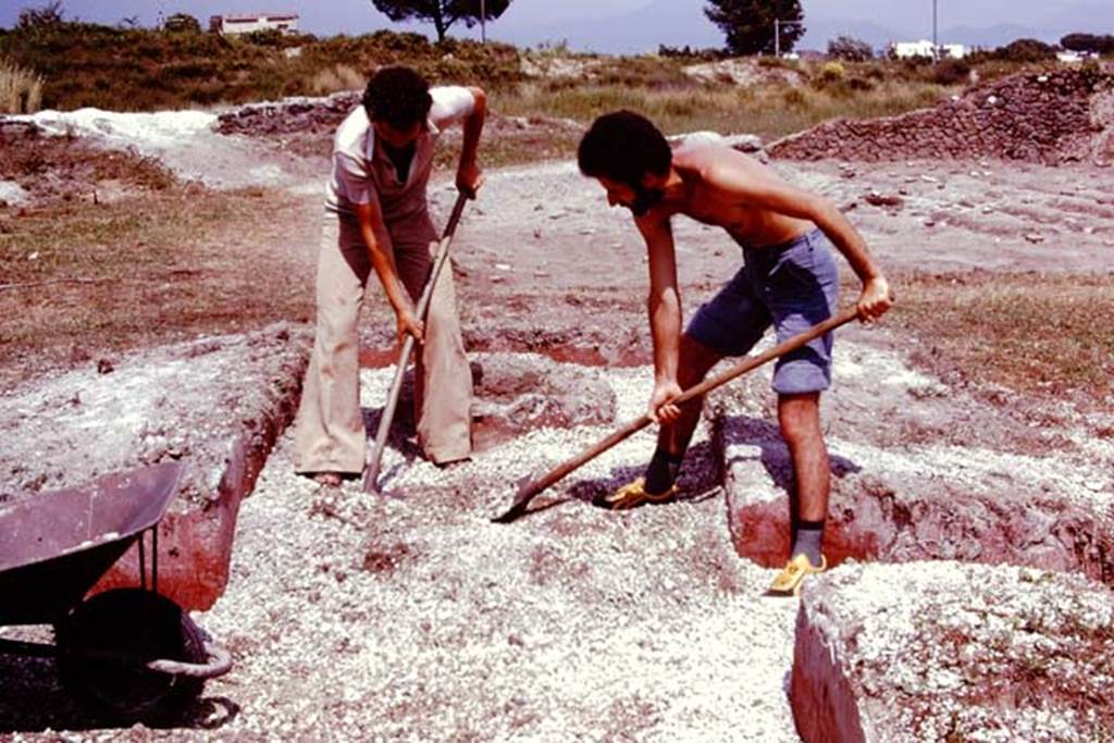 III.7 Pompeii. 1976. Clearing the lapilli from the triclinium, still covered in red stucco. Photo by Stanley A. Jashemski.   
Source: The Wilhelmina and Stanley A. Jashemski archive in the University of Maryland Library, Special Collections (See collection page) and made available under the Creative Commons Attribution-Non Commercial License v.4. See Licence and use details. J76f0348