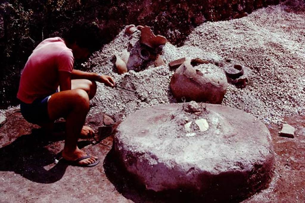 III.7 Pompeii. 1976. Finds from near south wall, possibly from near the rear doorway of the house.  The circular object was difficult to explain by Wilhelmina. It was made of cocciopesto (cement with crushed terracotta) and had a slight peak at its centre.
It had a somewhat similar shape to the masonry base that would have supported the mill in a bakery. Nearby a heap of terracotta fragments of amphorae, and pots and pans of various kinds. Photo by Stanley A. Jashemski.   
Source: The Wilhelmina and Stanley A. Jashemski archive in the University of Maryland Library, Special Collections (See collection page) and made available under the Creative Commons Attribution-Non Commercial License v.4. See Licence and use details. J76f0350