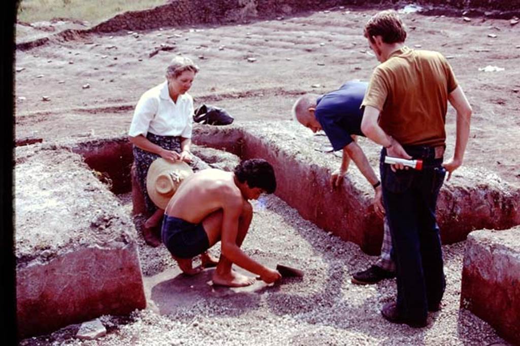 III.7 Pompeii. 1976. Examining the lapilli near the triclinium. Photo by Stanley A. Jashemski.   
Source: The Wilhelmina and Stanley A. Jashemski archive in the University of Maryland Library, Special Collections (See collection page) and made available under the Creative Commons Attribution-Non Commercial License v.4. See Licence and use details. J76f0367