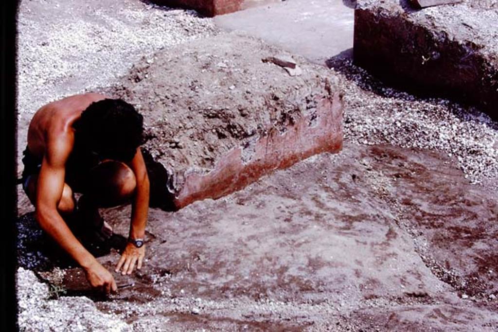 III.7 Pompeii. 1976. Examining the original soil level. Photo by Stanley A. Jashemski.   
Source: The Wilhelmina and Stanley A. Jashemski archive in the University of Maryland Library, Special Collections (See collection page) and made available under the Creative Commons Attribution-Non Commercial License v.4. See Licence and use details. J76f0423