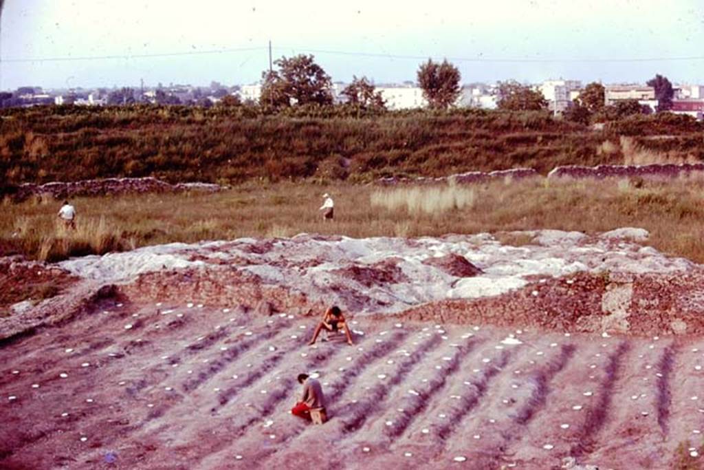 III.7 Pompeii. 1976. Looking east towards triangular area, with Wilhelmina and Sig. Sicignano examining it. Photo by Stanley A. Jashemski.   
Source: The Wilhelmina and Stanley A. Jashemski archive in the University of Maryland Library, Special Collections (See collection page) and made available under the Creative Commons Attribution-Non Commercial License v.4. See Licence and use details. J76f0472