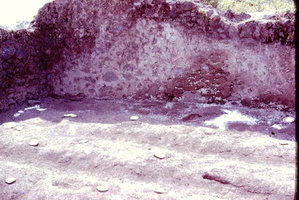 III.7 Pompeii. 1976. South-east corner, with furrows and root cavities. Photo by Stanley A. Jashemski.   
Source: The Wilhelmina and Stanley A. Jashemski archive in the University of Maryland Library, Special Collections (See collection page) and made available under the Creative Commons Attribution-Non Commercial License v.4. See Licence and use details. J76f0548
According to Wilhelmina, “Tree-root cavities were found along the edges of the vineyard near the east and south walls. The large tree near the east wall and the one near the south wall had the root structures of figs or possibly olives”.
See Jashemski, W. F., 1993. The Gardens of Pompeii, Volume II: Appendices. New York: Caratzas, (p.104).