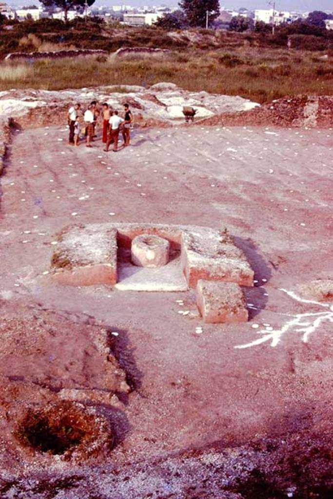 III.7 Pompeii. 1976. Looking east across triclinium. Photo by Stanley A. Jashemski.   
Source: The Wilhelmina and Stanley A. Jashemski archive in the University of Maryland Library, Special Collections (See collection page) and made available under the Creative Commons Attribution-Non Commercial License v.4. See Licence and use details.
J76f0530
According to Wilhelmina, “The tree to the south-west of the triclinium, with the long spreading roots reaching to the surface was clearly a poplar.”
See Jashemski, W. F., 1993. The Gardens of Pompeii, Volume II: Appendices. New York: Caratzas, (p.104).