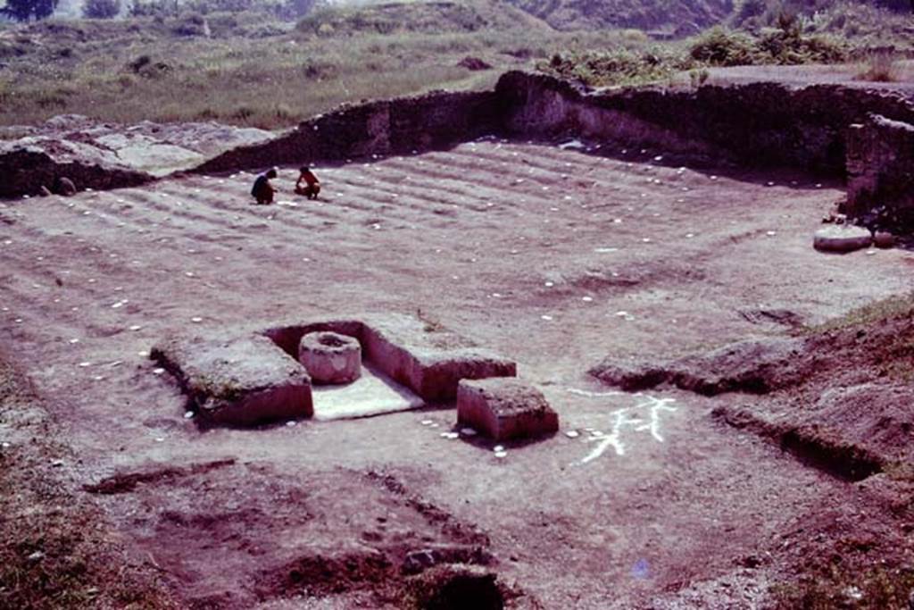 III.7 Pompeii. 1976. Looking south-east. Photo by Stanley A. Jashemski.   
Source: The Wilhelmina and Stanley A. Jashemski archive in the University of Maryland Library, Special Collections (See collection page) and made available under the Creative Commons Attribution-Non Commercial License v.4. See Licence and use details. J76f0546
According to Wilhelmina, “Found next to the triclinium, were the cavities of the post of the pergola, and root cavities of the vines that had shaded it.” To the west of the triclinium was a nursery plot with low masonry walls on the east and south, which was filled with an unusual black soil.  Here a broken planting pot with one hole in the bottom and three holes in its side, was found. It was sent to be restored.”