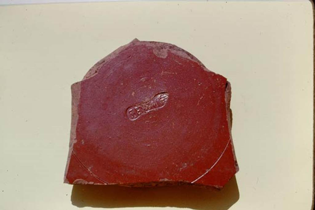 III.7 Pompeii. 1975. Fragment of Arretine ware, found near south wall. Photo by Stanley A. Jashemski.   
Source: The Wilhelmina and Stanley A. Jashemski archive in the University of Maryland Library, Special Collections (See collection page) and made available under the Creative Commons Attribution-Non Commercial License v.4. See Licence and use details. J75f0731