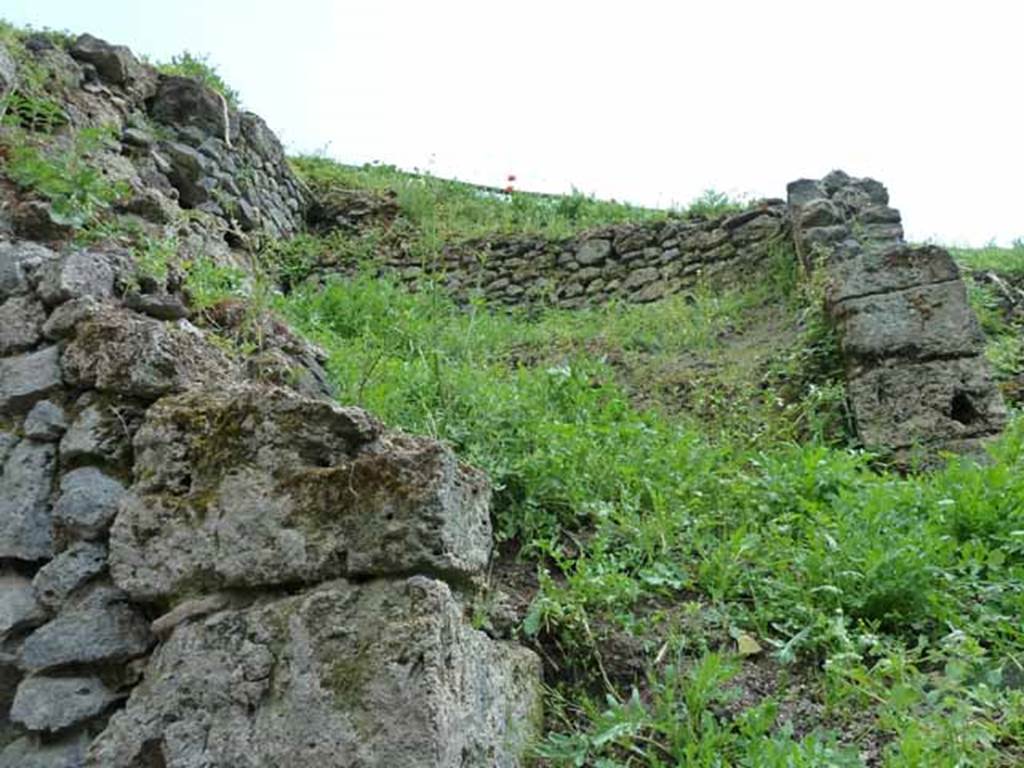 III.8.8 Pompeii. May 2010. South wall of bar-room, in the front on the left, with doorway through to rear rooms. At the rear on the left are the upper walls on the east side. Looking south at the unexcavated rooms.