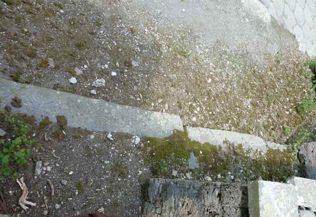III.8.8 Pompeii May 2010. Threshold or sill. According to Sogliano, the wide entrance doorway had a threshold of lava stone, made from three pieces. Many shards of glass vessels were found in the space between the podium and the door. These probably fell from the counter at the time of the disaster. The most noteworthy was a fragment of one with a circular mouth (diam.0.15m), a beautiful rosy-coloured glass with spherical belly.
See Notizie degli Scavi di Antichità, 1905, (p.273 & p.275)