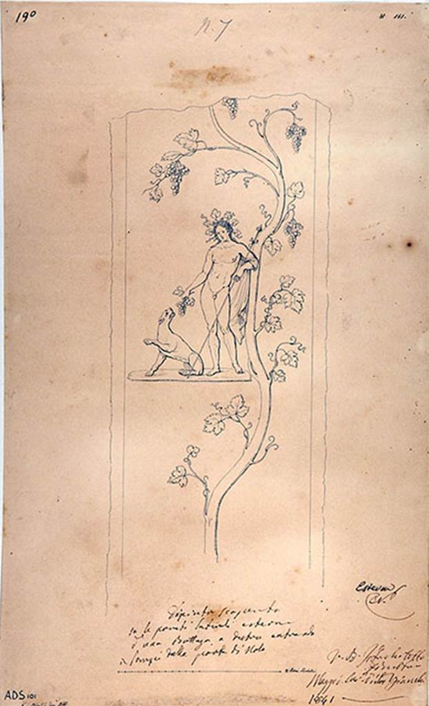 IV.1.d and IV.1.e Pompeii behind custodians shed. 1841 drawing by G. Abbate.
Drawing of a naked Bacchus crowned with vine leaves, and with thyrsus, grapes and sitting panther. 
A vine runs from bottom to top of the panel.
Fröhlich identified Bacchus on the right of the entrance and Mercury on the left of the entrance.
Now in Naples Archaeological Museum. Inventory number ADS 101.
See Fröhlich, T., 1991. Lararien und Fassadenbilder in den Vesuvstädten. Mainz: von Zabern. (p.316, F26).
Photo © ICCD. https://www.catalogo.beniculturali.it
Utilizzabili alle condizioni della licenza Attribuzione - Non commerciale - Condividi allo stesso modo 2.5 Italia (CC BY-NC-SA 2.5 IT)
Kuivalainen comments –
“Bacchus is offering a bunch of grapes to the panther. The composition and its details, such as the large wreath, the thirsty/covetous panther with the naked Bacchus, and the considerable size of the vine, all emphasize the significance of the harvest.”
See Kuivalainen, I., 2021. The Portrayal of Pompeian Bacchus. Commentationes Humanarum Litterarum 140. Helsinki: Finnish Society of Sciences and Letters, (p.109-10, C5).