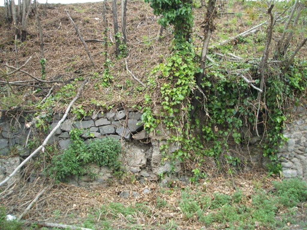 IV.4.f, (on left) and IV.4.g, Pompeii.  May 2005.