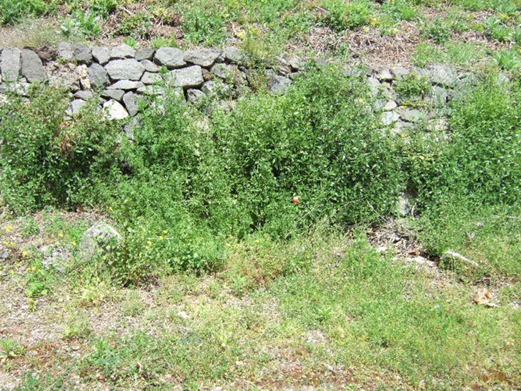 IV.5.d Pompeii. May 2006. End of insula and start of blocked road.  This led from near the Nola Gate along the inside of the city walls