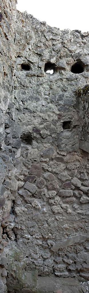 V.1.3 Pompeii. c.2008-10. 
Room “c”, north wall of latrine. Photo by Hans Thorwid.
Photo courtesy of the Swedish Pompeii Project.