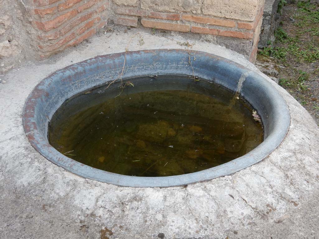V.1.4 Pompeii. June 2019. Large water basin in north-west corner. Photo courtesy of Buzz Ferebee.