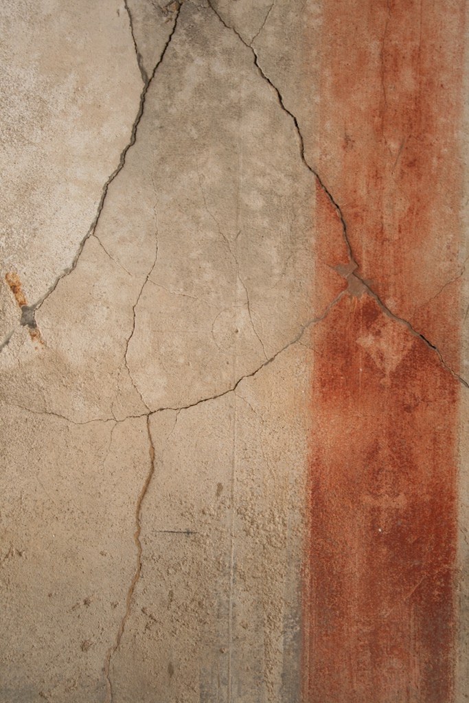 V.1.7 Pompeii. c.2005-7.  
Room 8, detail of painted decoration on west wall with candelabra on red panel. 
Photo by Thomas Staub.
Photo courtesy of the Swedish Pompeii Project.