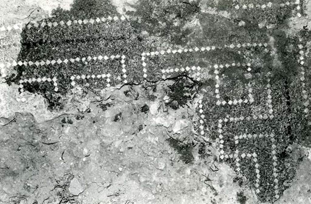 V.1.7 Pompeii. 1972. House of the Bull, second doorway, third room, E of atrium, floor.  Photo courtesy of Anne Laidlaw.
American Academy in Rome, Photographic Archive. Laidlaw collection _P_72_8_28.