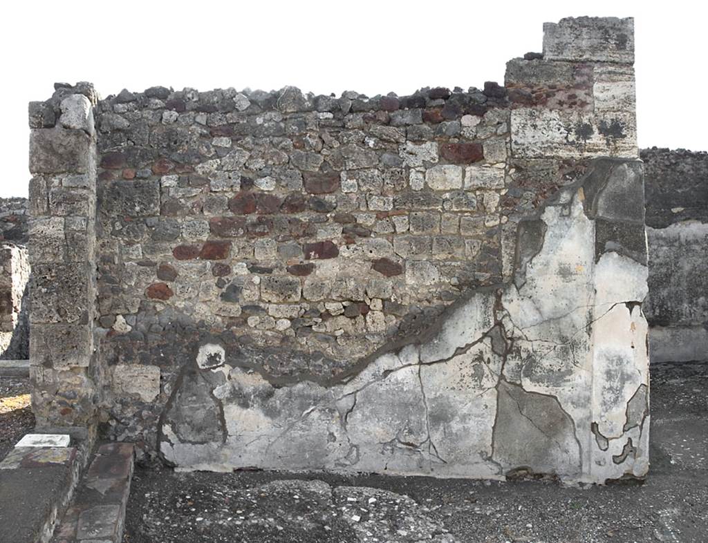 V.1.7 Pompeii. c.2005-7.  Room 13, detail of east wall of tablinum. Photo by Hans Thorwid. 
Photo courtesy of Swedish Pompeii Project.