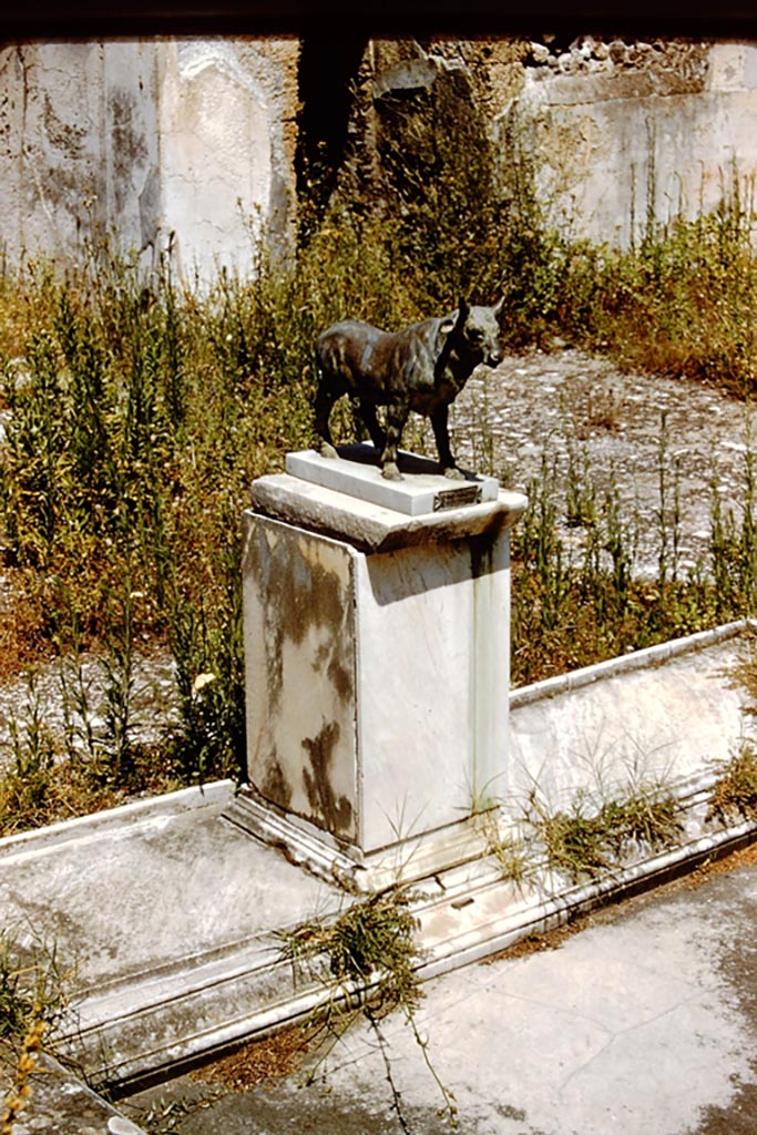 V.1.7 Pompeii. 1959. 
North side of impluvium in atrium with model of bronze bull, in situ. Photo by Stanley A. Jashemski.
Source: The Wilhelmina and Stanley A. Jashemski archive in the University of Maryland Library, Special Collections (See collection page) and made available under the Creative Commons Attribution-Non-Commercial License v.4. See Licence and use details.
J59f0434