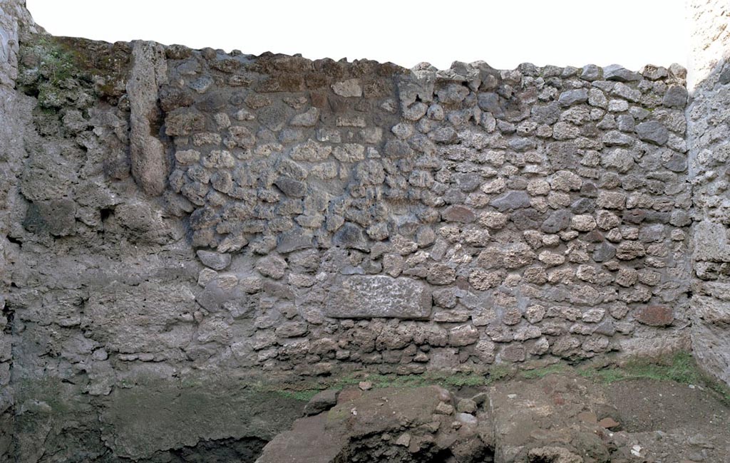 V.1.11 Pompeii. 2012. Room “x”, west wall. Photo by Hans Thorwid.
“West wall in 2012. Restored parts of the wall photographed and merge with the lower part and floor line of earlier photos from 2005-07.”
Photo and words courtesy of The Swedish Pompeii Project.