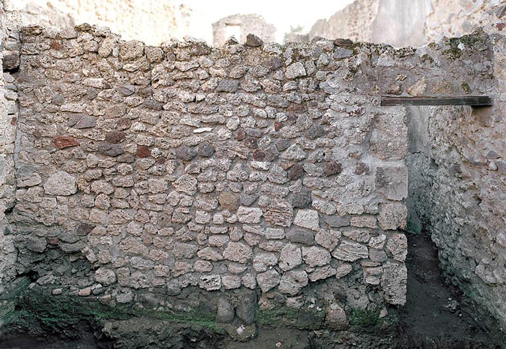 V.1.11 Pompeii. c.2005-7? Room “x”, east wall. Photo by Hans Thorwid.
Photo courtesy of The Swedish Pompeii Project.