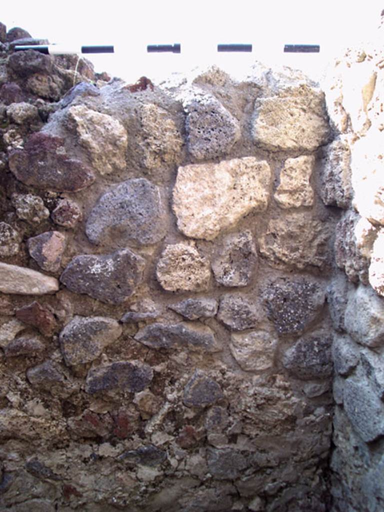 V.1.15 Pompeii. September 2009. 
West wall in north-west corner of kitchen. Photo courtesy of Jared Benton.