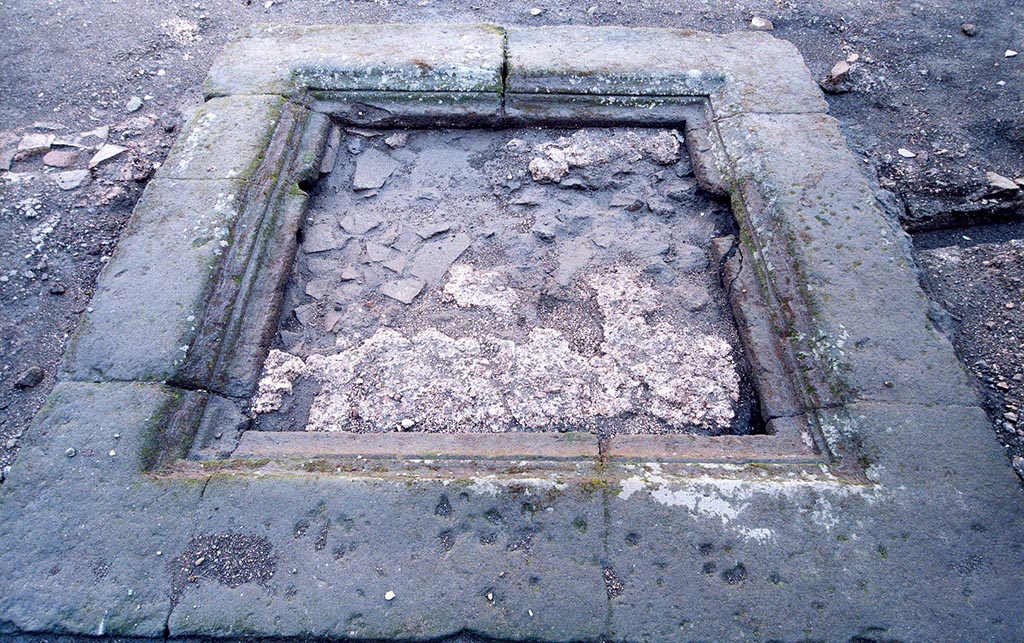 V.1.15 Pompeii. c.2006. Impluvium in atrium, looking north. Photo by Henrik Boman.  
Impluvium in atrium, with “the preserved area of cocciopesto visible after heavy rain. Seen from south”. 
Photo and words courtesy of the Swedish Pompeii Project.